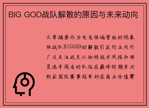 BIG GOD战队解散的原因与未来动向